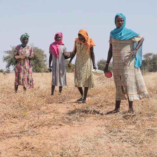 Photo post from unops_official.