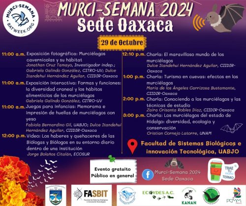 Photo post from murcisemana_oficial.