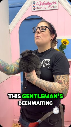 Video post from njexoticpets.