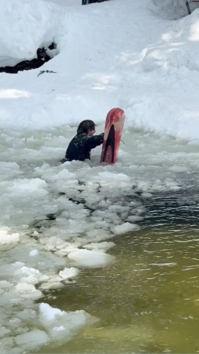 Video post from gnusnowboards.