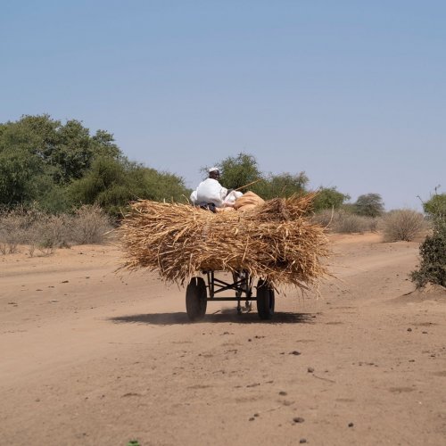 Photo post from unops_official.