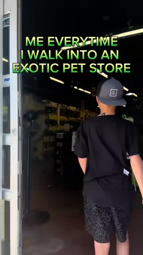 Video post from njexoticpets.