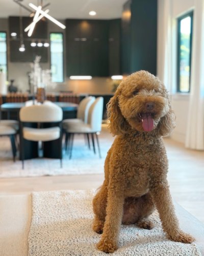 Carousel post from qcflippers.