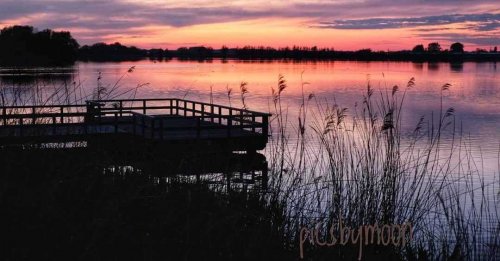 Photo post from ditiskatwijk.