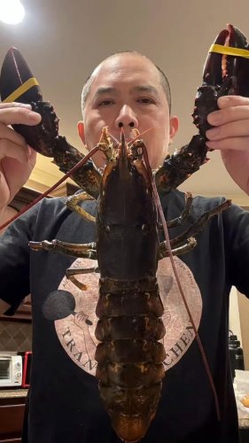 Video post from the_one_cut.