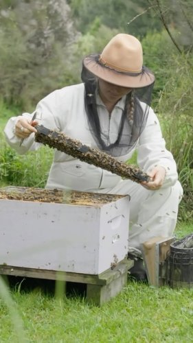 Video post from comvita_au.