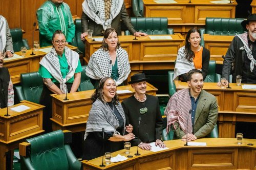 Carousel post from nzgreenparty.