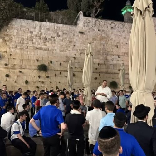 Video post from ncsykollel.