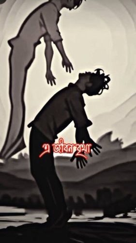 Video post from jeet_das__10k.