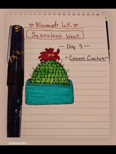 Video post from penandinkchallenge.