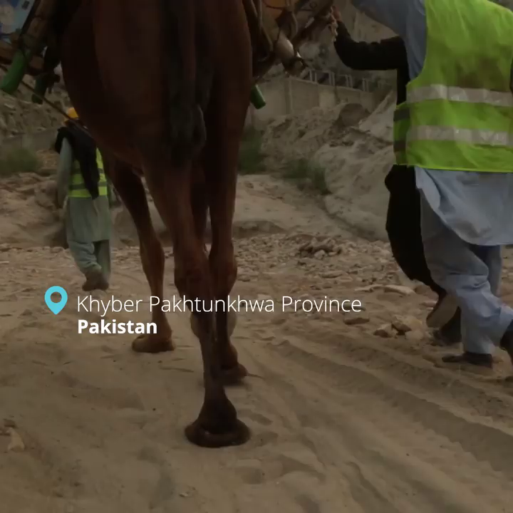 Video post from unops_official.