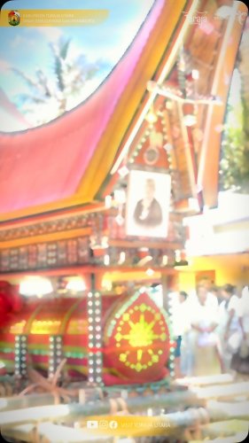 Video post from visittorajautara.