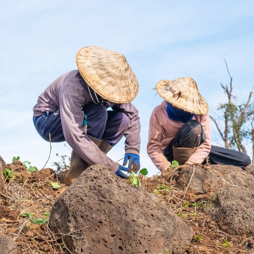 Photo post from unops_official.