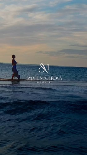 Video post from sylviemajerova.