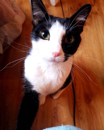 Carousel post from margaritabloom.