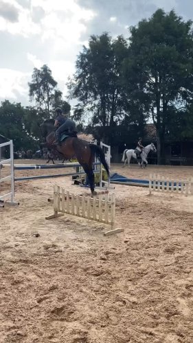 Video post from _lm_equestrian_.