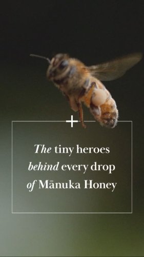 Video post from comvita_nz.