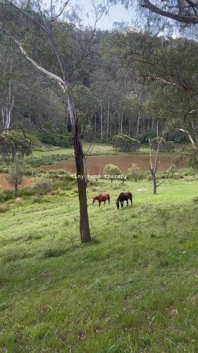 Video post from in2thewild.aus.