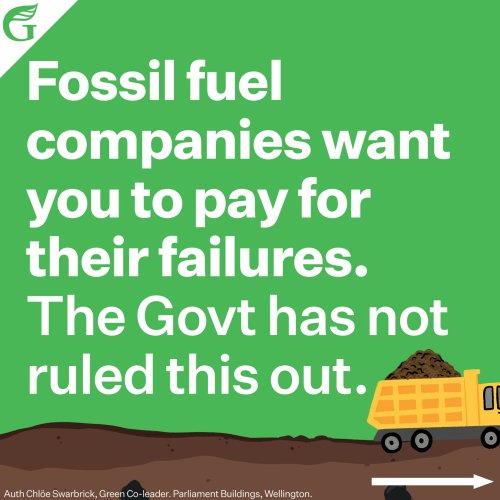 Carousel post from nzgreenparty.