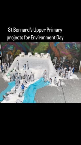 Video post from thinkinggreen.gov.gi.