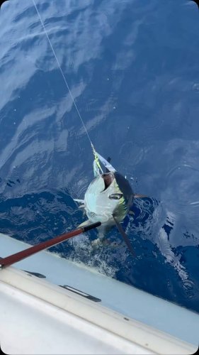 Video post from ejs_fishing_charters.