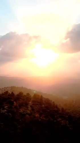 Video post from tjj_ny.