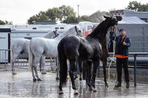 Carousel post from fei_global.