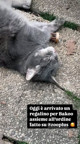 Video post from zampette.click.