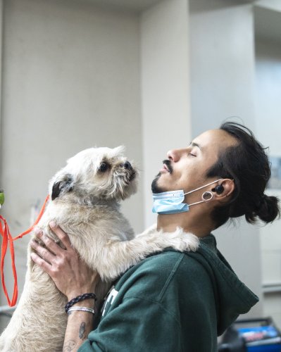 Photo post from medicalpettj.