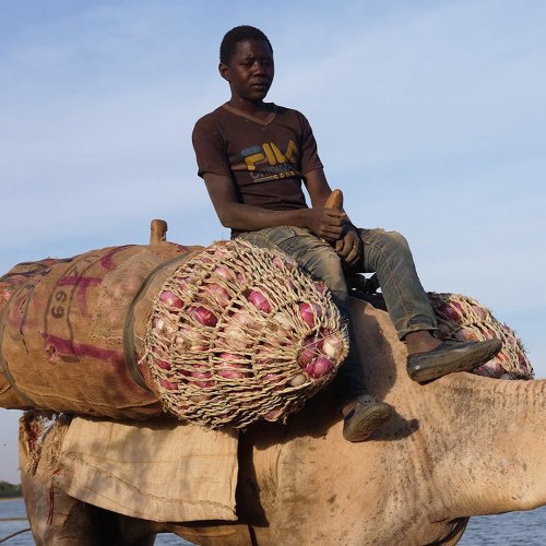 Carousel post from unops_official.