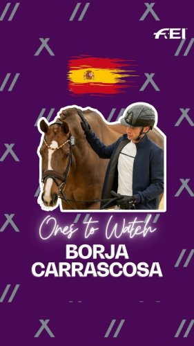 Video post from fei_global.