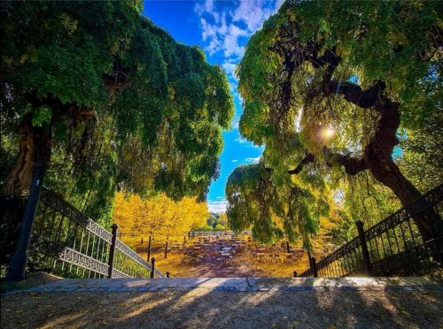 Photo post from visit.magdeburg.