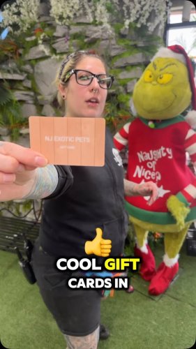Video post from njexoticpets.