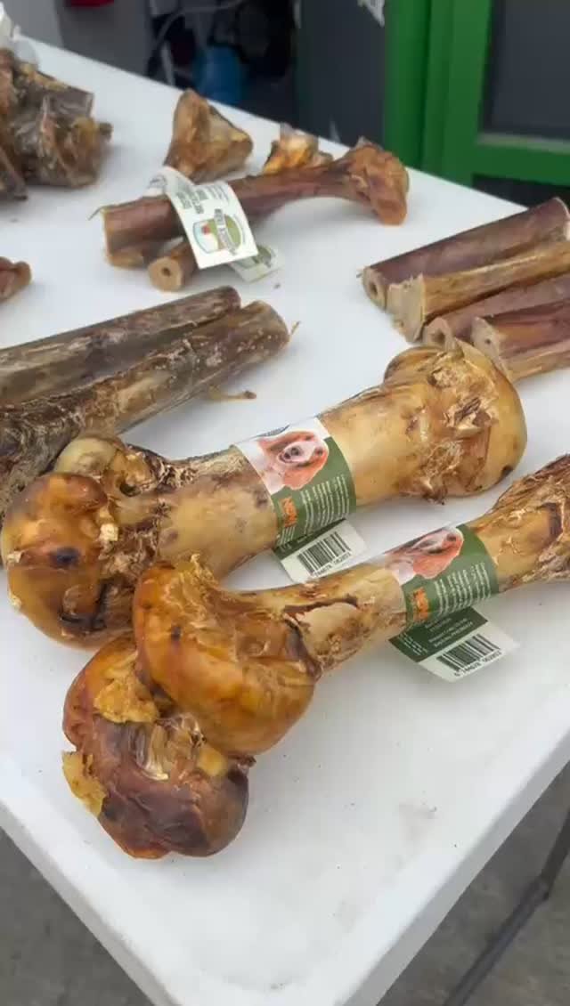 Video post from pawstrading.