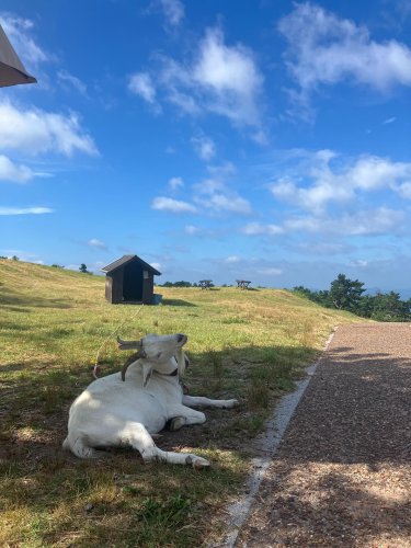 Carousel post from masumizutenkuu.