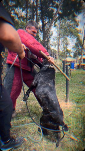 Video post from colinacaninec.