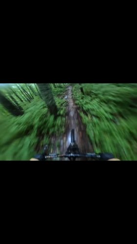 Video post from bernie_senders95.