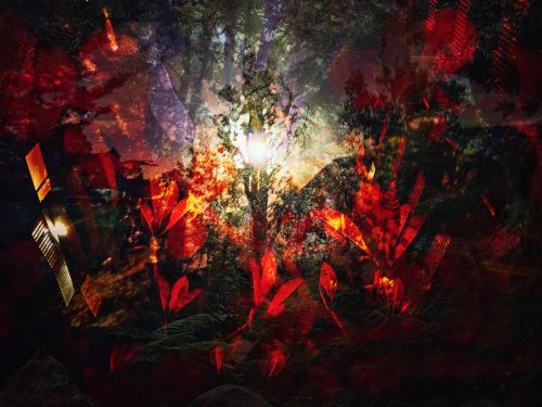 Photo post from jakbobby.