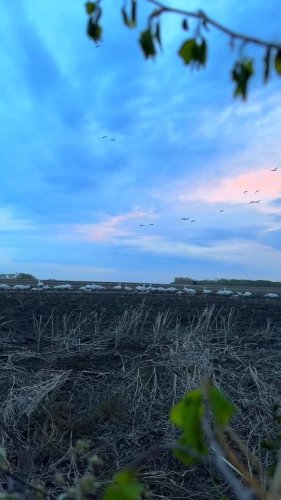 Video post from northernskiesoutfitters.