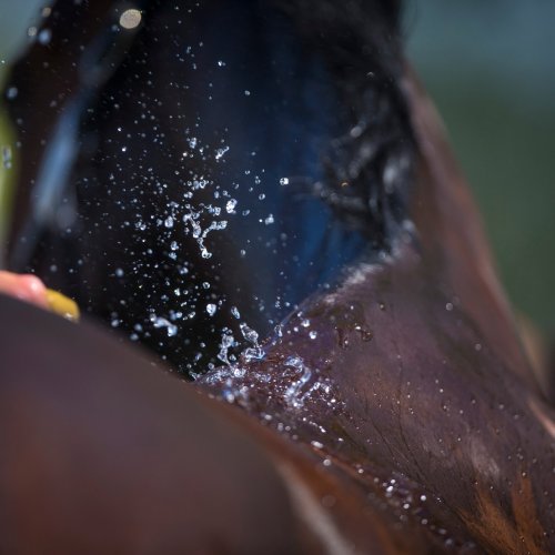 Photo post from fei_global.