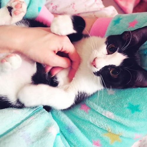 Carousel post from margaritabloom.