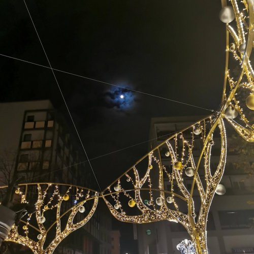 Photo post from visit.magdeburg.