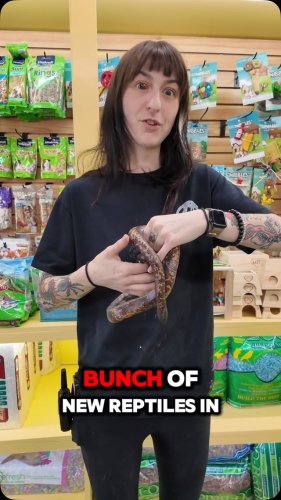 Video post from njexoticpets.