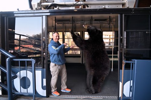 Photo post from obermountain.