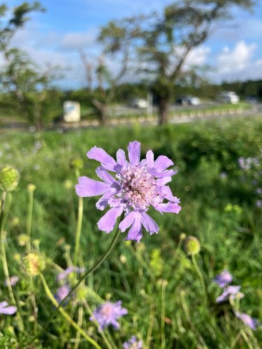 Carousel post from masumizutenkuu.