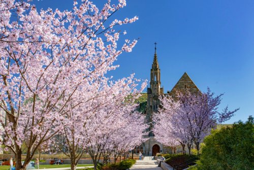 Photo post from bostoncollege.