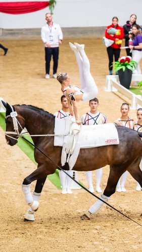 Video post from fei_global.