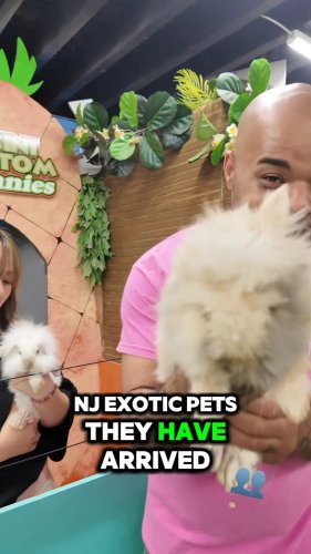 Video post from njexoticpets.