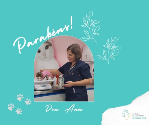 Photo post from clinica_veterinaria_dourosul.