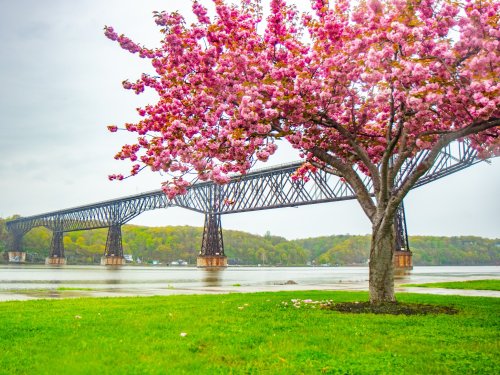 Photo post from dutchesstourism.